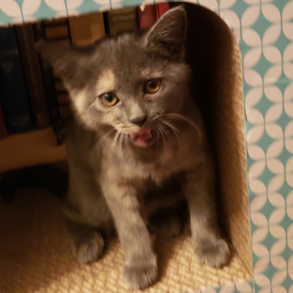 Meet your Posher, Michael